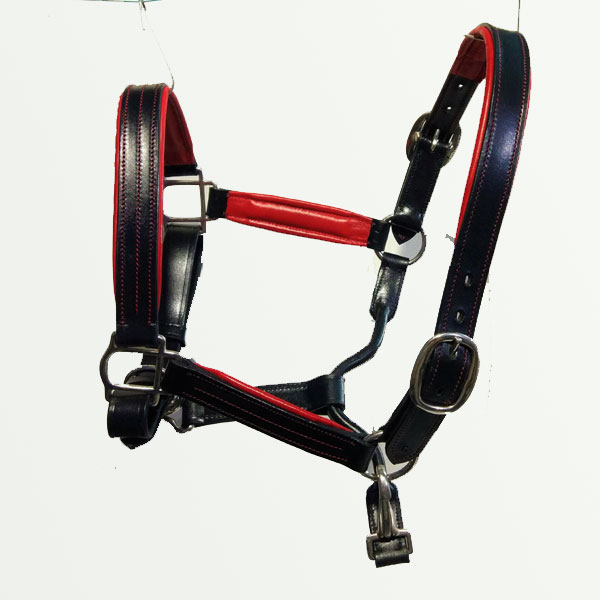 PHH01 Padded leather halter